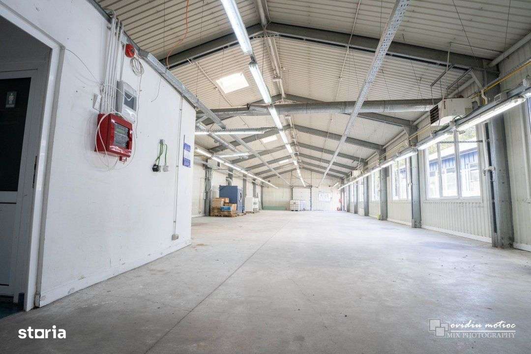 Hale in zona Calea Baciului-4