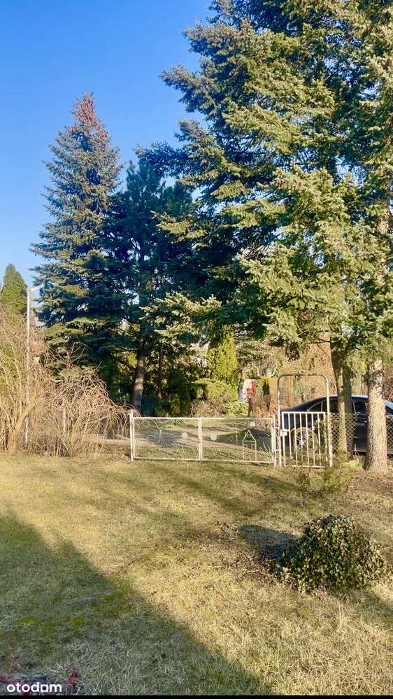 Działka ROD | ŚWIETNA lokalizacja | do zabudowania - Pełny obrazek: 4/8