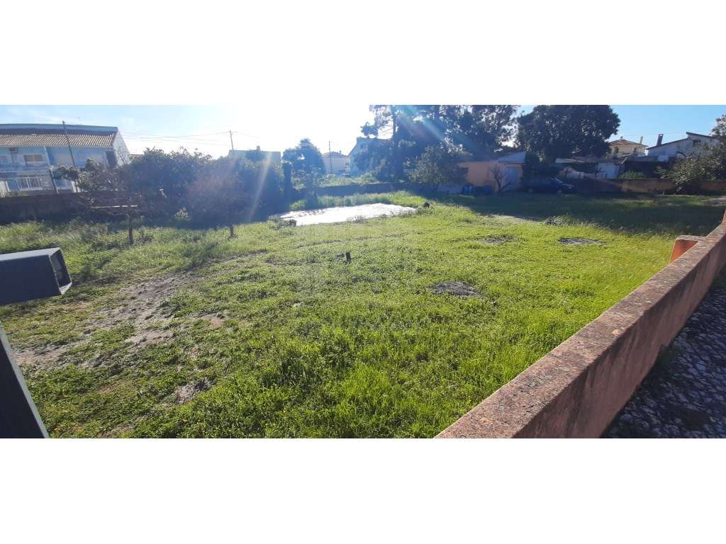 O Lugar Ideal para a Sua Futura Moradia no Pinhal do General-30