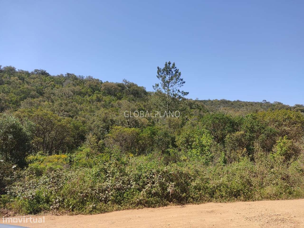 Terreno rústico com viabilidade de construção, Bensafrim, Lagos - Grande imagem: 5/6