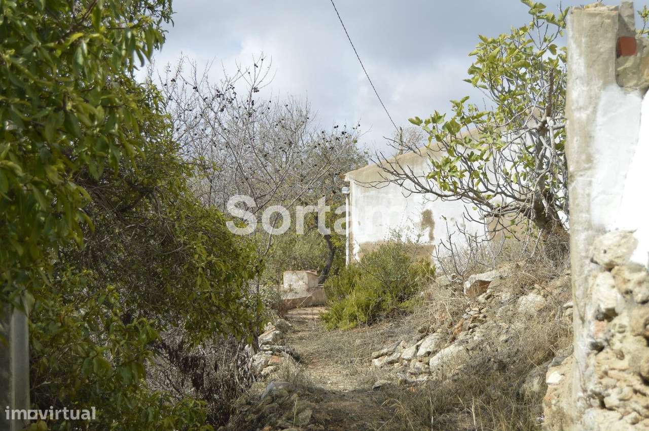 Terreno Para Construção  Venda em Boliqueime,Loulé - Grande imagem: 3/8