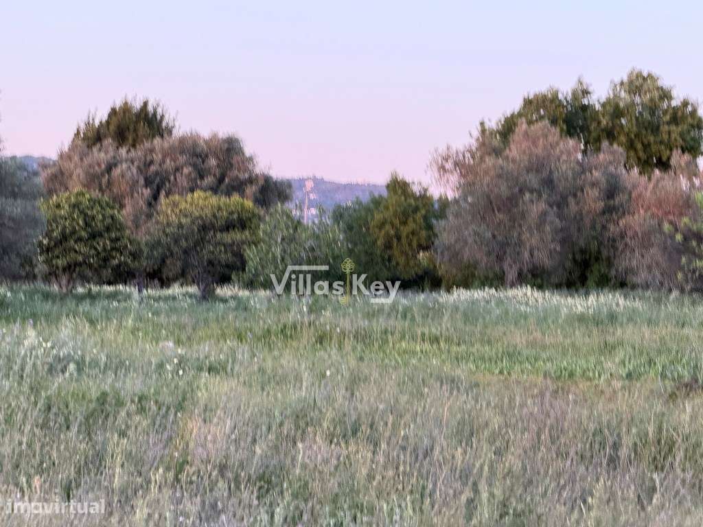 Terreno rústico com terra fértil para agricultura, tanque,nora,bons...-8