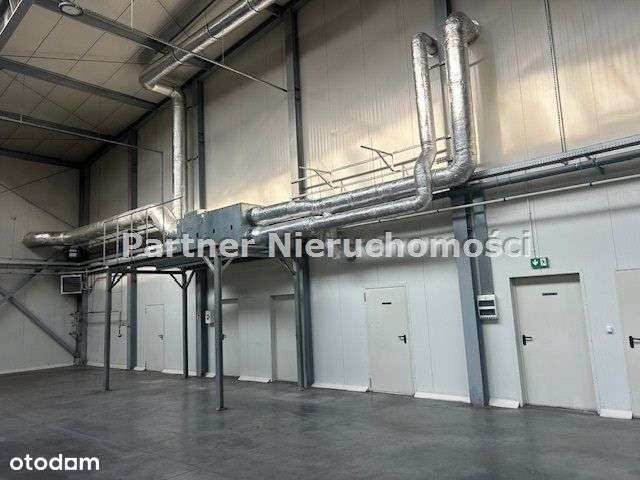 Hala - Magazyn 2600 M !!!! - Pełny obrazek: 5/10