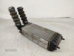 Intercooler Radiador Citroen Ds4 - 4