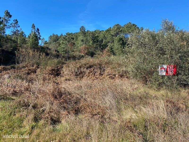 Terreno / Baião, Ancede e Ribadouro - Grande imagem: 4/9