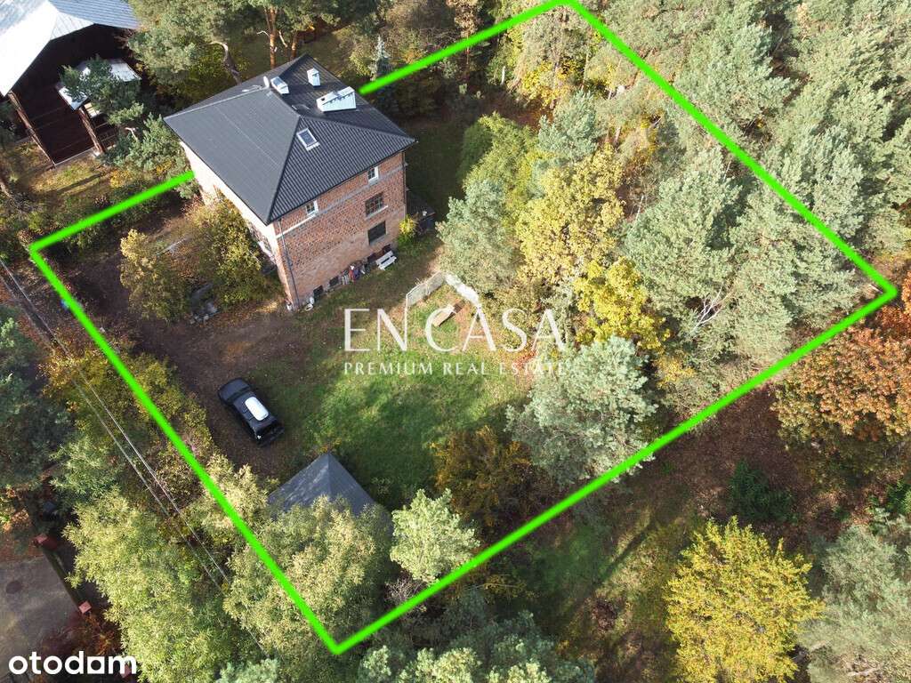 Dom wolnostojący na działce ze starodrzewiem - Pełny obrazek: 4/9