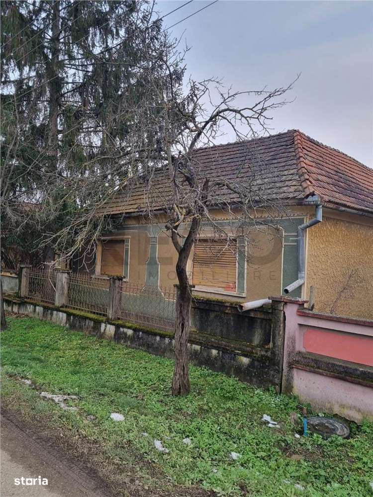 RECO Casa batraneasca cu teren generos in localitatea Tria-0