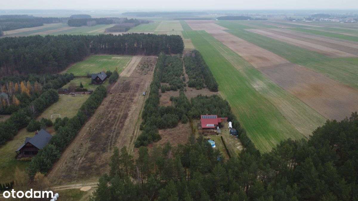 Działka budowlana z lasem-14