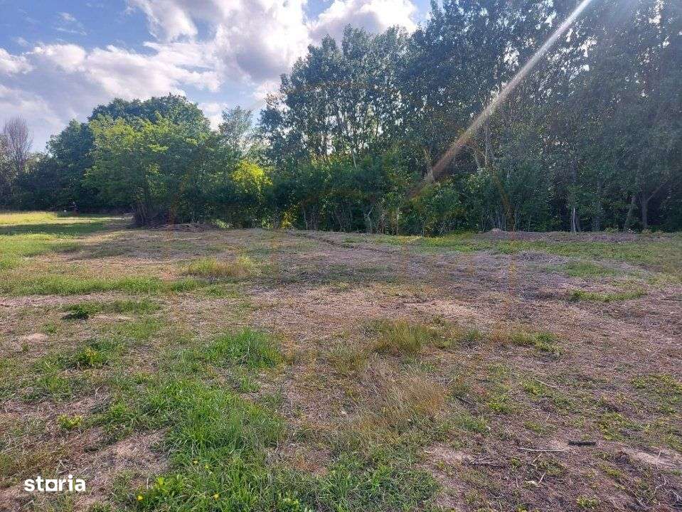 Teren Cerbu - Albota - cu PROIECT CASA si AVIZE - Imagine principală: 5/8