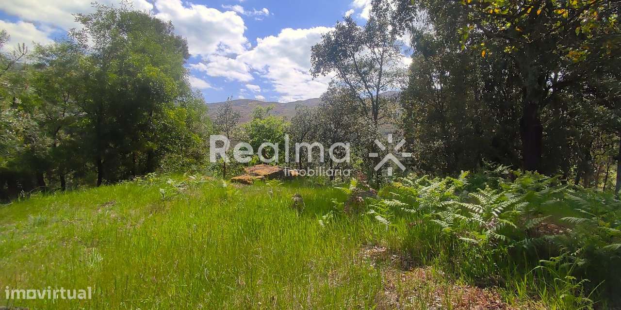 Terreno em Ruivães - Vieira do Minho p/ Construção-6