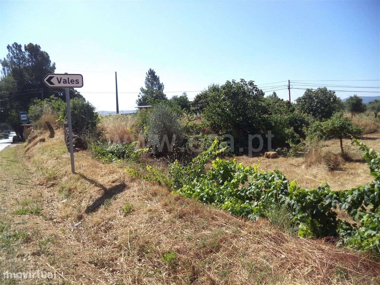 Quinta / Fundão, Pêro Viseu - Grande imagem: 3/7