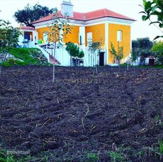 Pequena herdade em Amieira do Tejo, concelho de Nisa, 2ha, 3 imóveis, - Grande imagem: 2/28