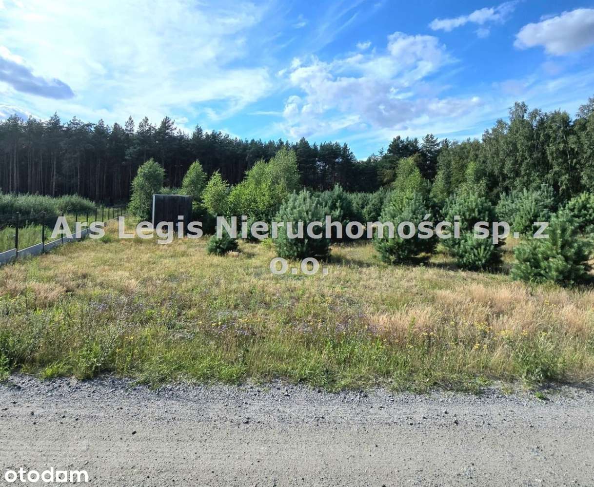 Działka, 2 032 m², Albertów-5