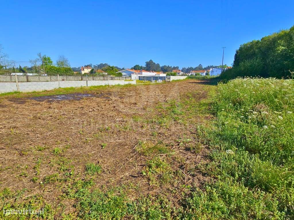 Oportunidade de Investimento Agrícola: Terreno de 1.800 m² com Pote...-8