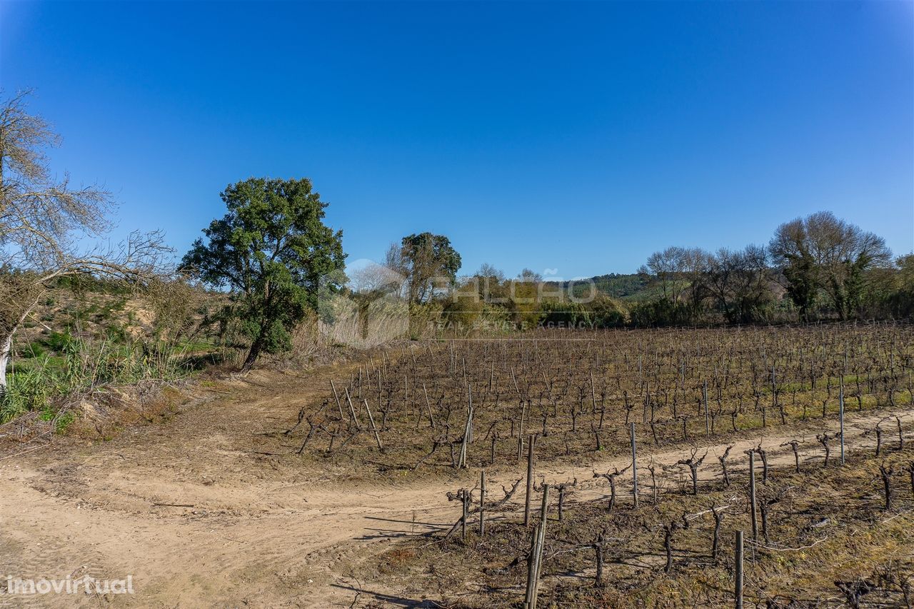 Quinta, Terreno  23.5Ha Azambuja