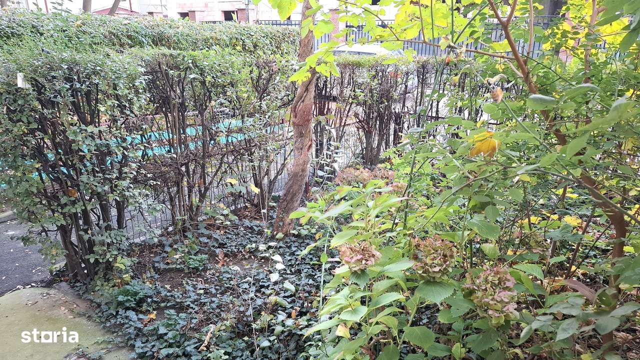 Vanzare Garsoniera 25.4mp, Bdul Ferdinand 131-9