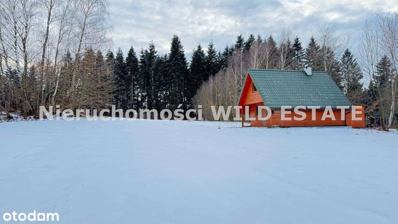 Działka, 11 163 m², Olszanica-6