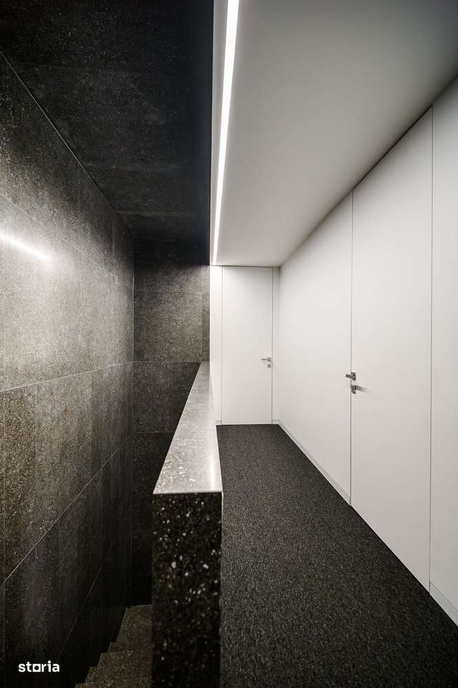 Duplex FINISAT 145MP Andrei Muresanu-11