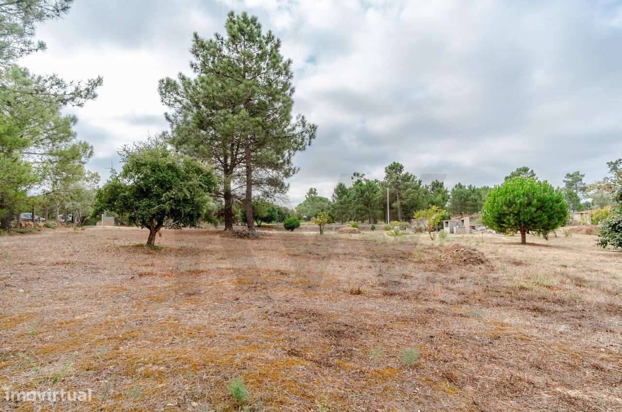 Terreno Urbano para Construção - Barreiro - Grande imagem: 5/25
