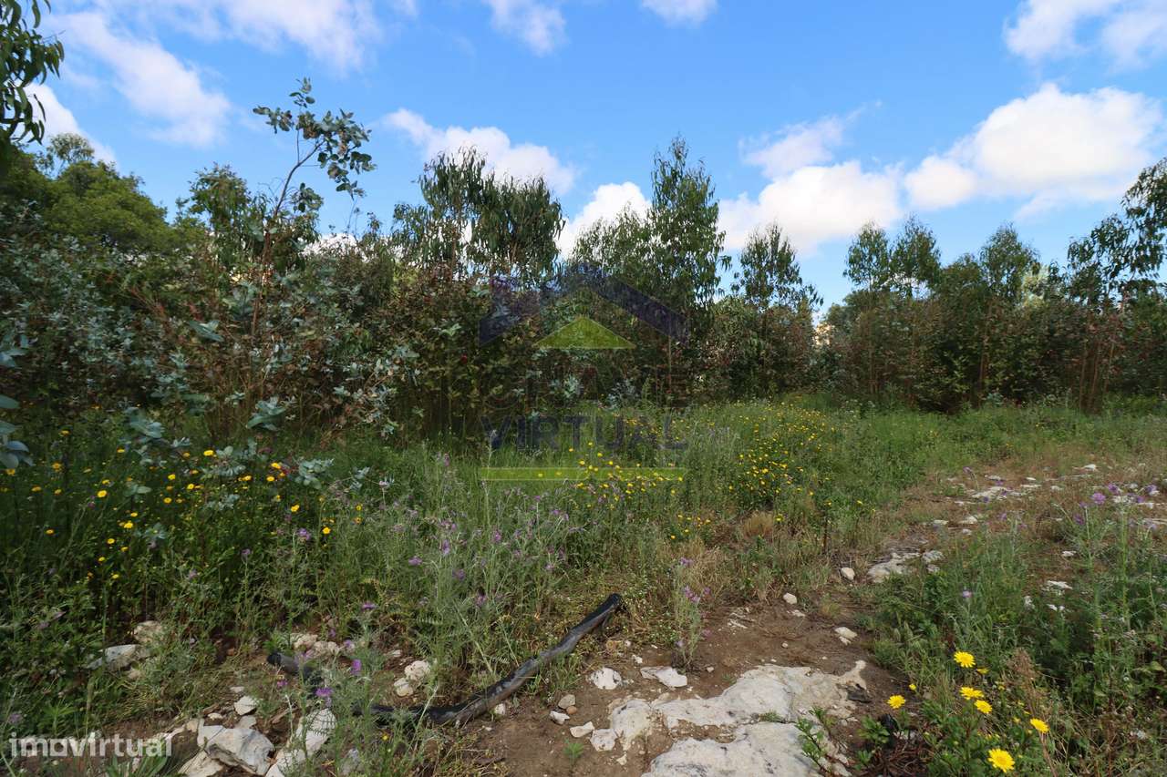 Terreno Rústico c/ 16.520 m2 Reguengo Pequeno - Lourinhã-19