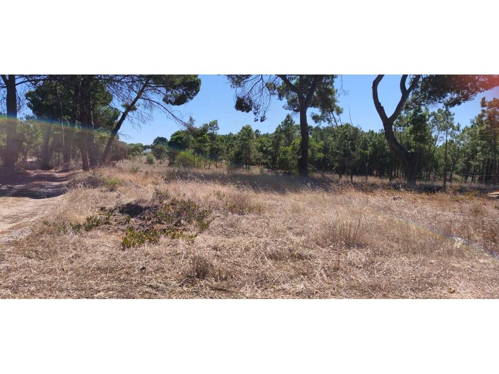 Terreno rústico em Fetais - Grande imagem: 4/5