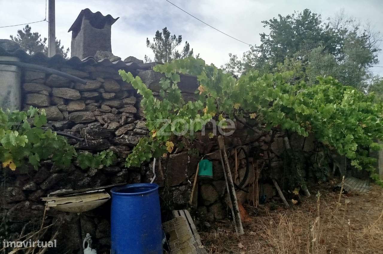 Quinta Única Encostada ao Rio Mondego – Um Refúgio Natural de Sonho... - Grande imagem: 5/42