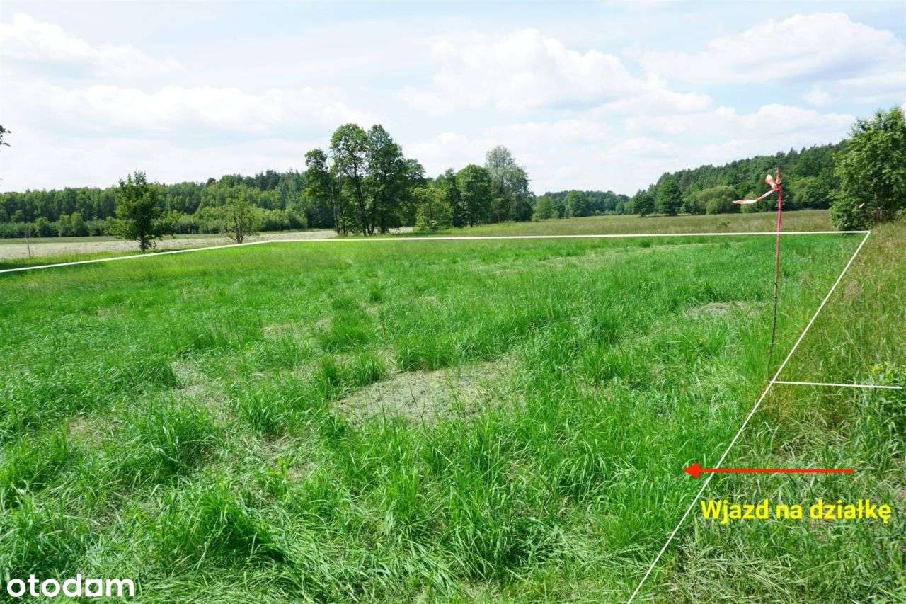 Działka budowlana 2904 m²,Silniczka, Żytno-9