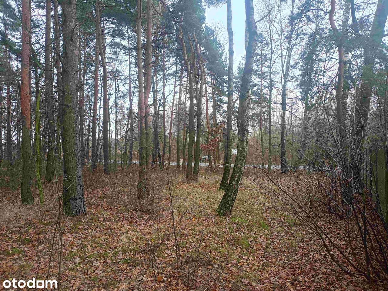 Działka usługowo-budowlana z przeznaczeniem na parking lub budowę domu-16