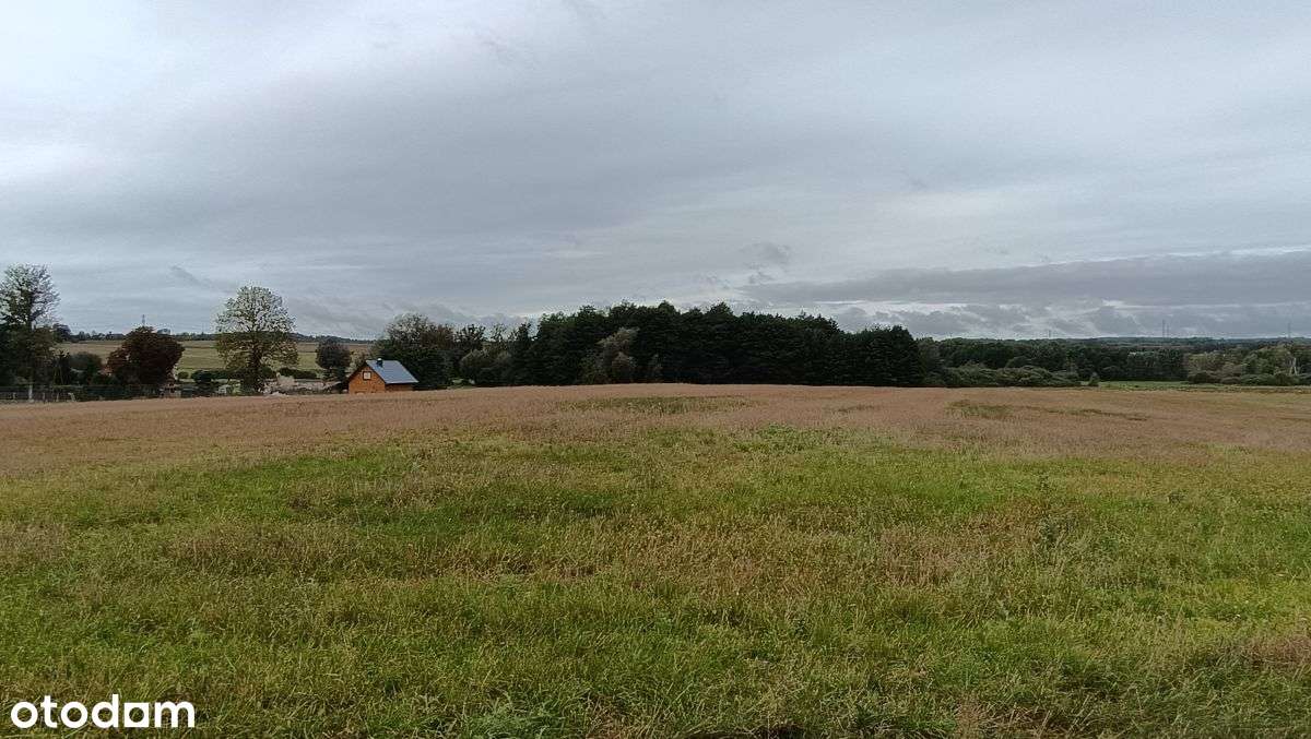 Ełganowo/Trąbki Wielkie-trzy działki o pow. 3200m2 - Pełny obrazek: 5/9