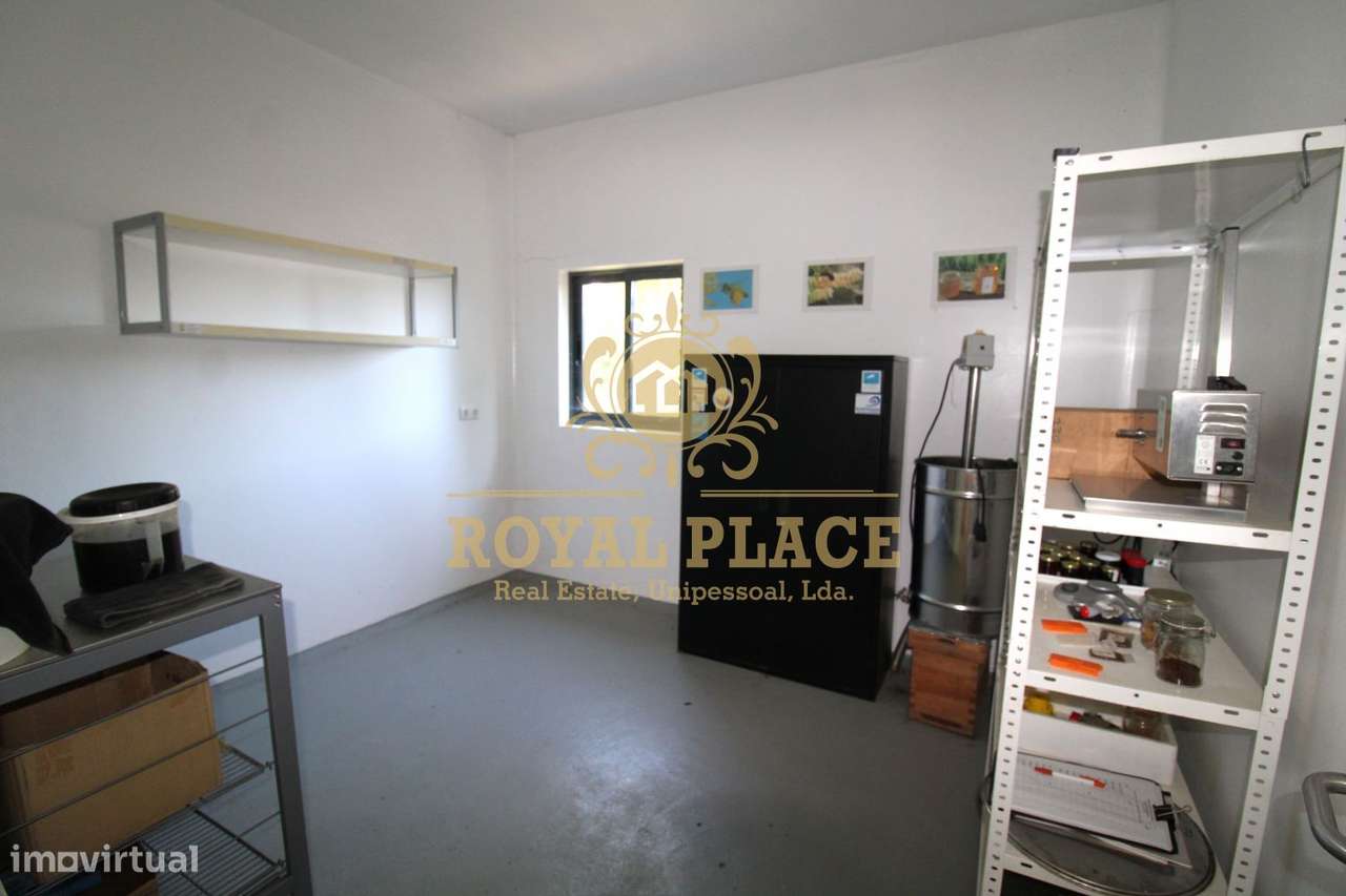 Quinta com armazém em Ossela, Oliveira de Azeméis-38