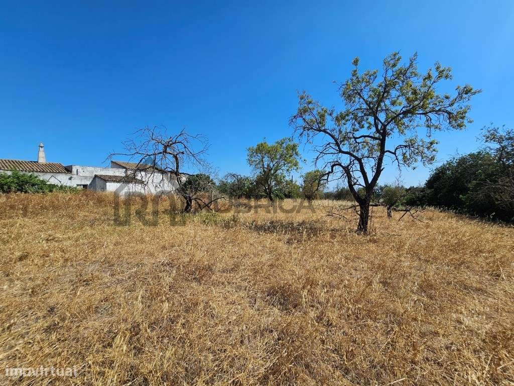 Casa com herdade de 30 mil m2 a sul de Loulé com enorme potencial-11