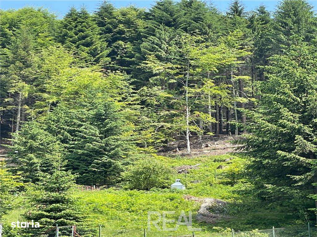 Teren de Vanzare in Timisul de Sus, Brasov - Imagine principală: 4/4