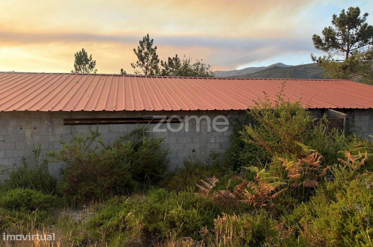 Terreno Rústico em Terras de Bouro - Grande imagem: 2/5