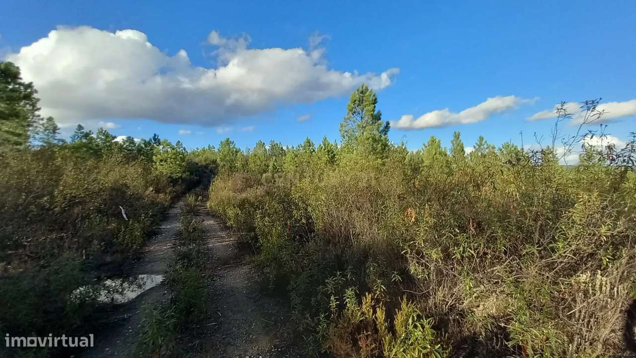 Terreno Rustico Atalaia-Sarnadas de Rodão - Grande imagem: 5/23