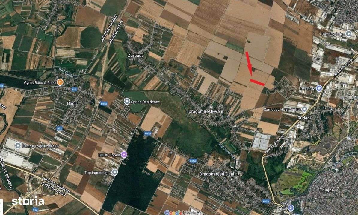 Teren 10.000 mp – Dragomiresti Vale, Ilfov - Imagine principală: 1/5