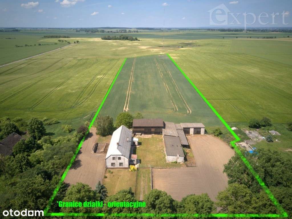 Lucin - dom - gospodarstwo rolne 32.500 m2 - Pełny obrazek: 3/20