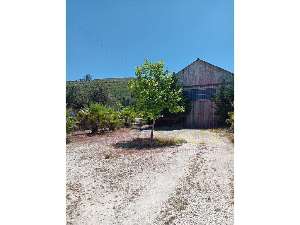 Quinta T3 - 575m2 de construção - Mendiga, Porto de Mós - Grande imagem: 5/35