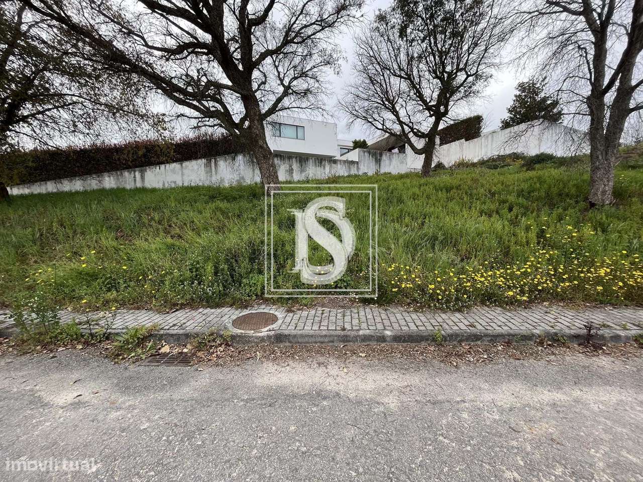 Terreno Não definido em UDF de Alvito (São Pedro e São Martinho) e Cou - Grande imagem: 2/13