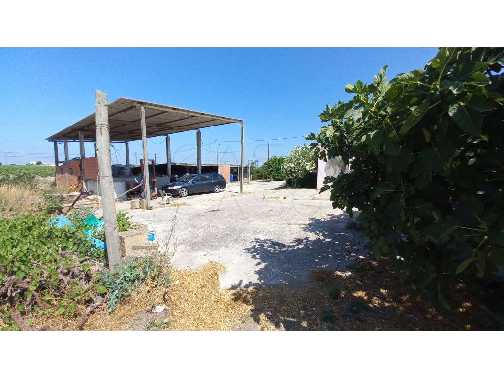 Herdade vinhateira próxima de Setúbal-22