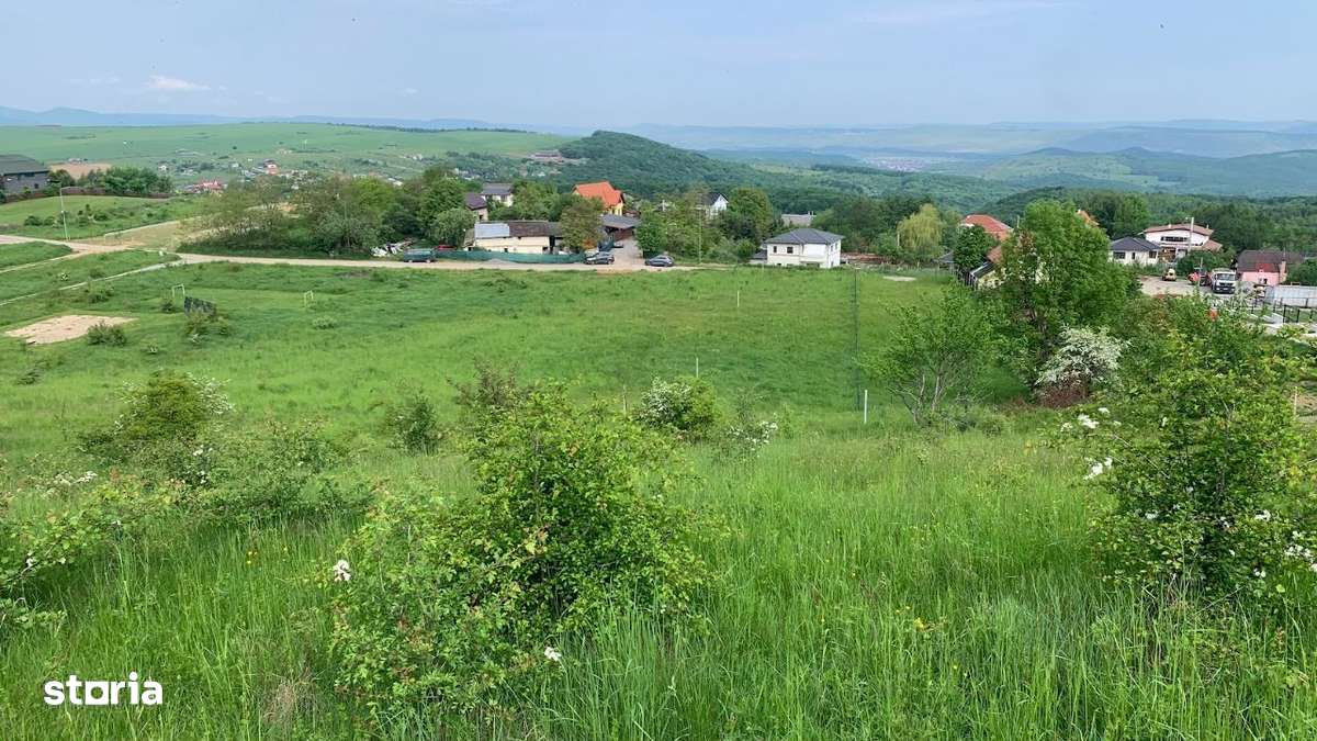 PF Vand Teren Intravilan Salicea - 118Euro/mp - Imagine principală: 2/5