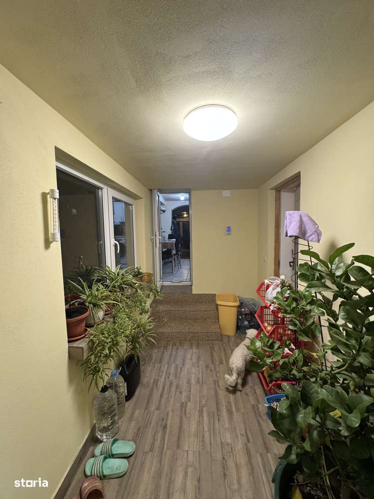 Casa de Vanzare Pecica-11