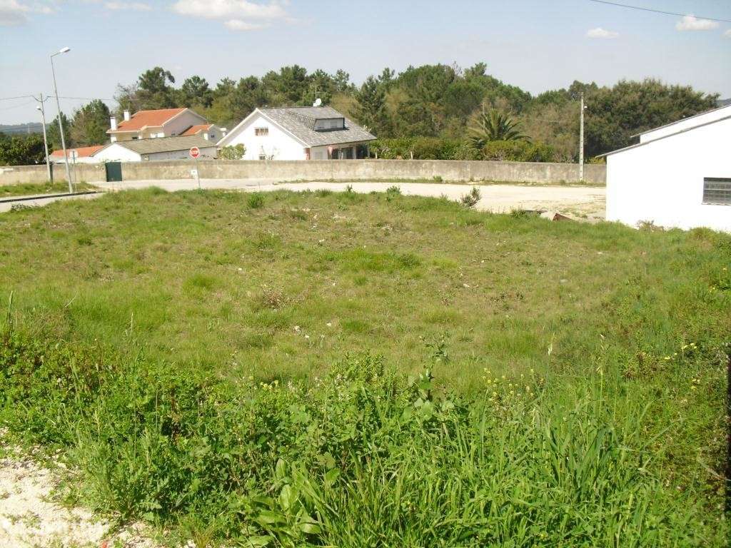 Lote, Condeixa-a-Nova, Condeixa - Grande imagem: 2/2