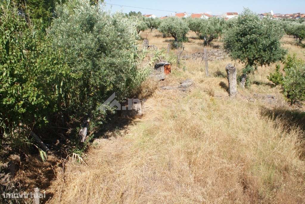 Terreno Rústico - Grande imagem: 4/33