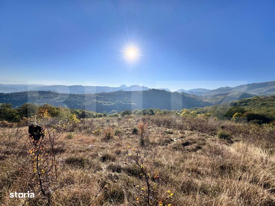 Teren de vanzare - Imagine principală: 1/3