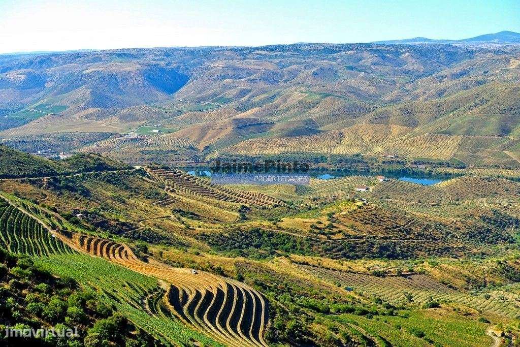 Moradia antiga, simples, térrea. Portugal, Figueira de Castelo Rodr...-7