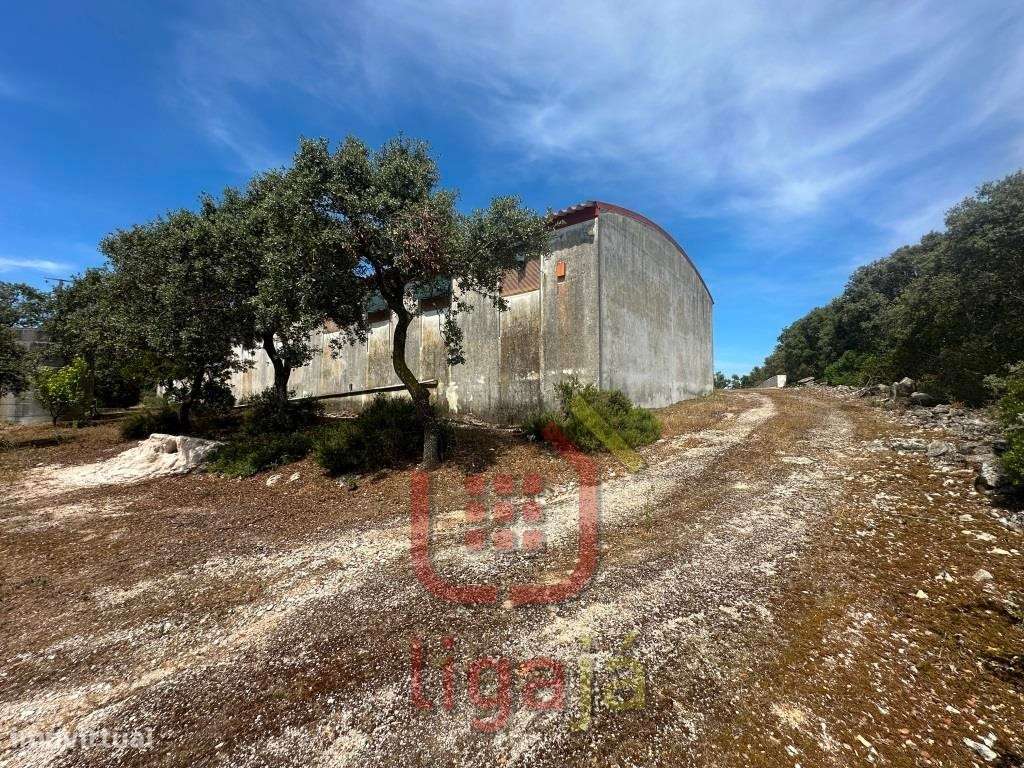 Armazém Industrial/Agropecuário com 9.700 m² de Terreno | Entre Our...-12