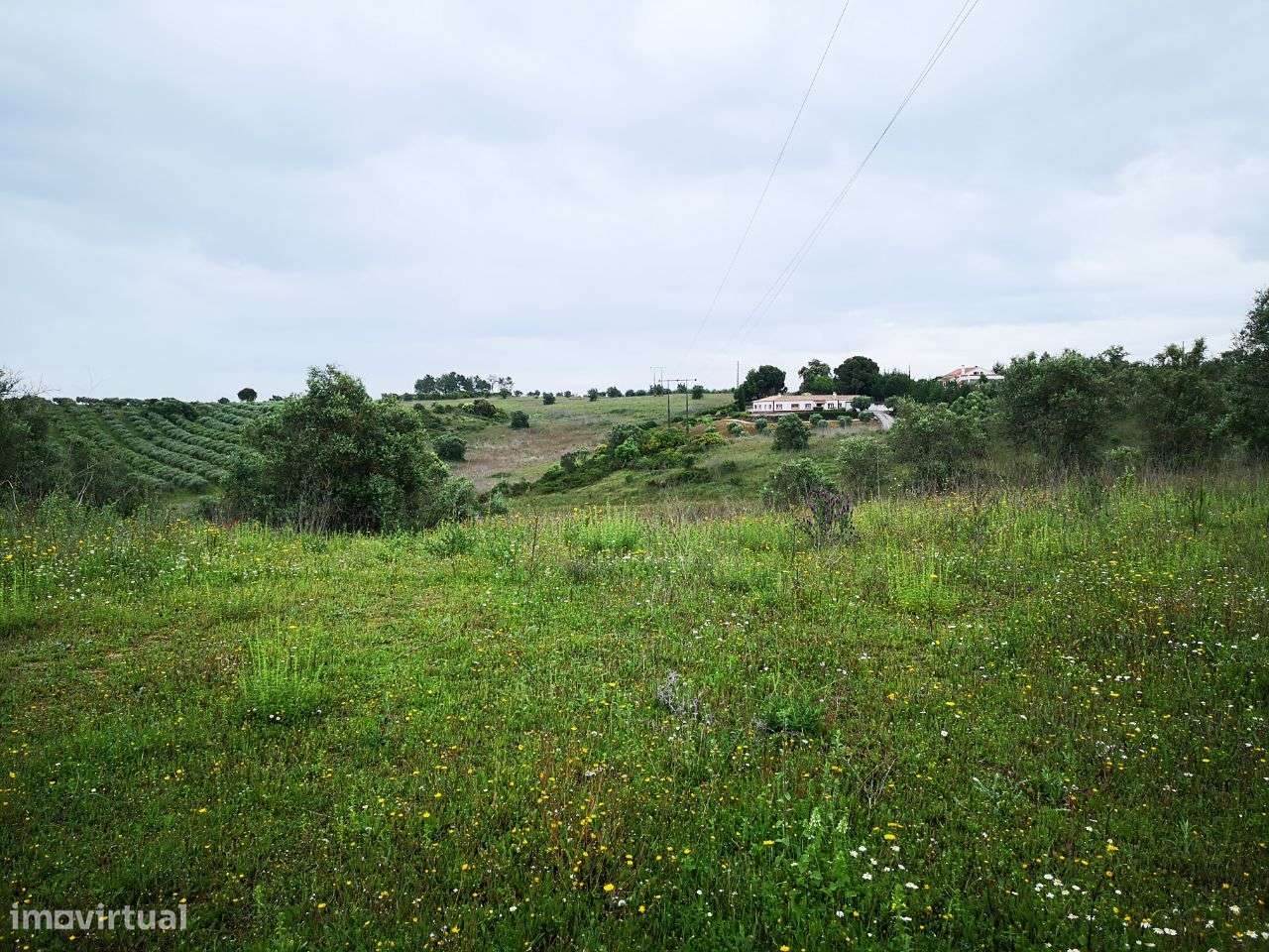 Terreno 57ha Santarém-6