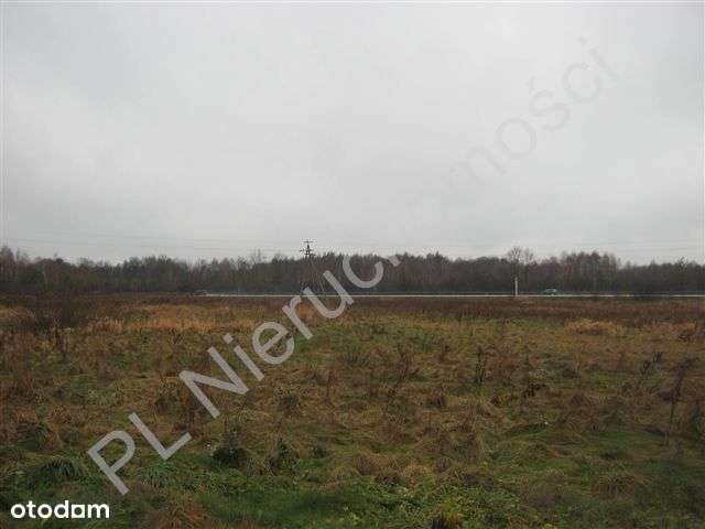 Teren przemysłowy, media, prąd 600 kW, asfalt - Pełny obrazek: 4/8