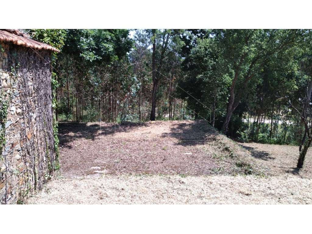 Terreno/quinta com pequena edificação - Grande imagem: 5/15