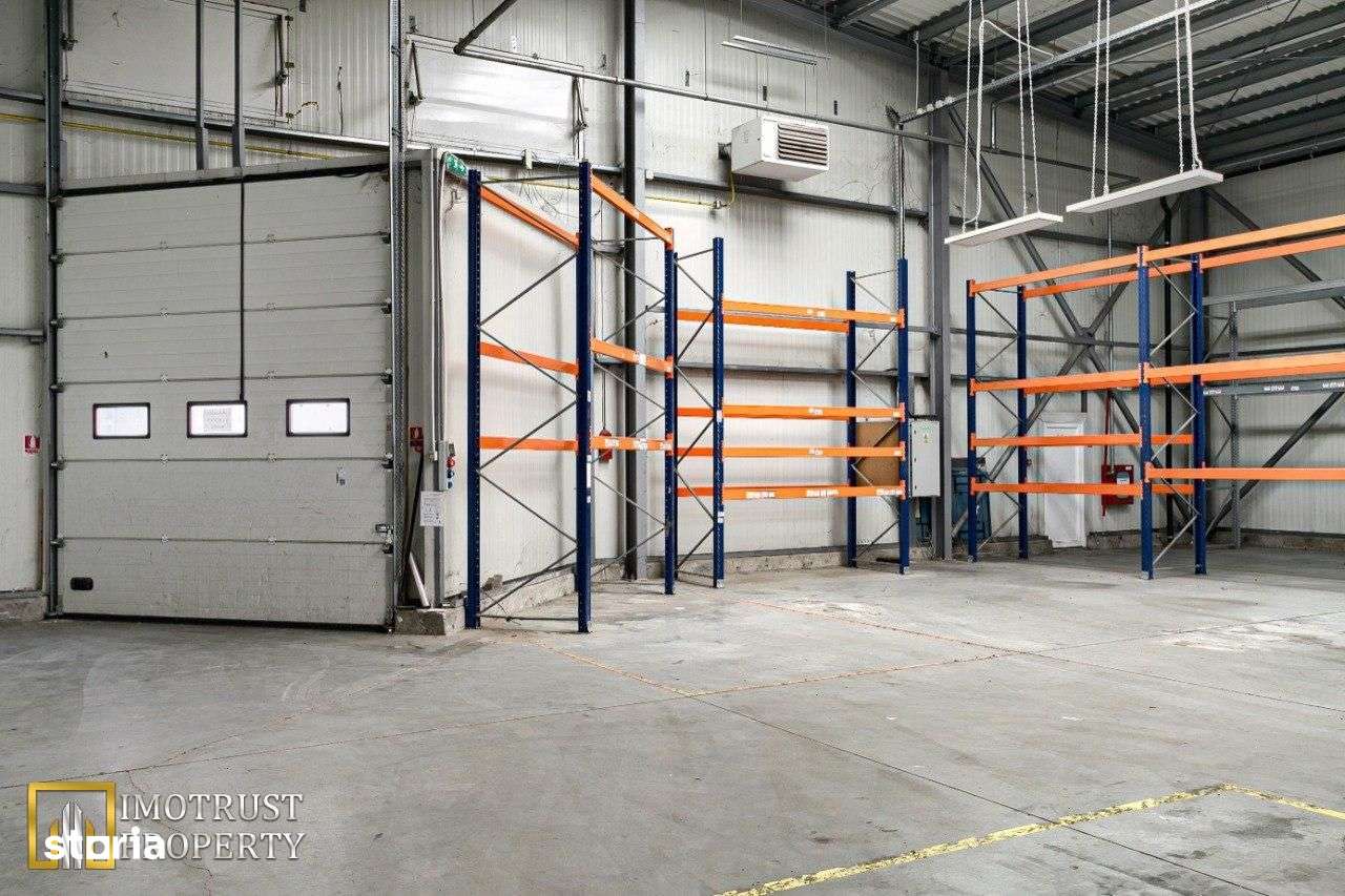 Vanzare Hala Premium 856 mp, Arad - Pret promotional!-6